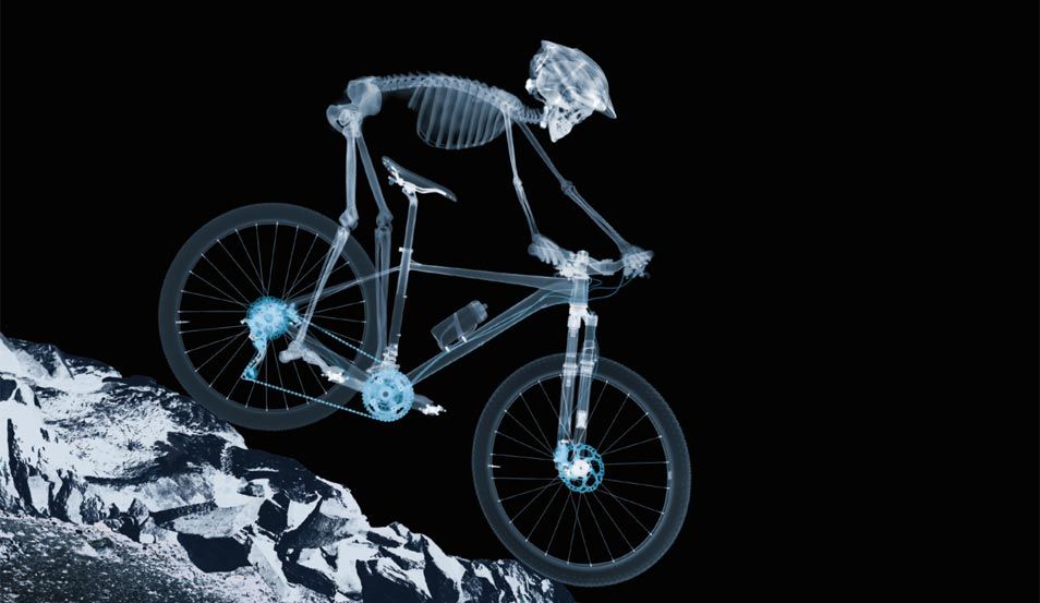 Shimano X-RAY: lo original es más fiable