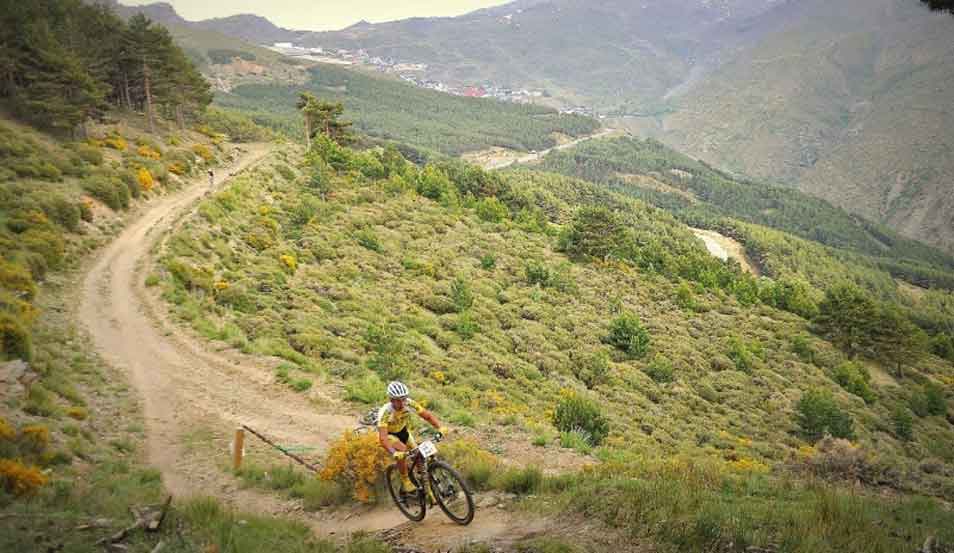 Vertical Bike 8h