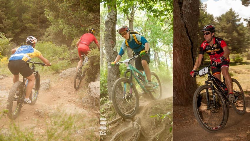 Galerías Test The Best 2015 Demo
