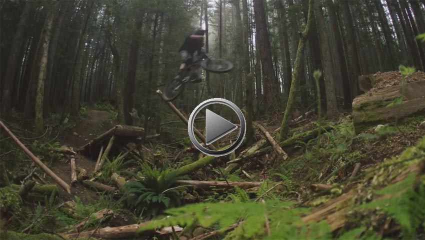 Vídeo: In the Know