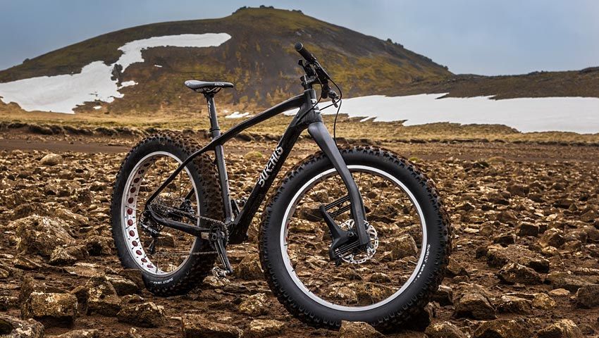 Borealis y Lauf: amor a primera vista