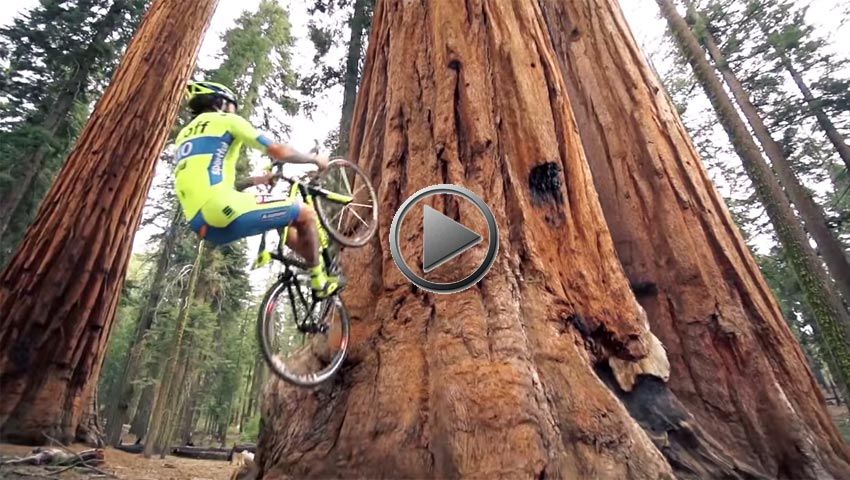 Vídeo: Vittorio Brumoti, Road Bike Freestyle 2