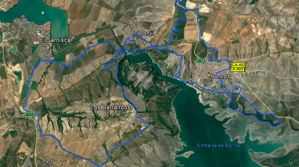 Bornos, la última prueba del Circuito Provincial de Cádiz