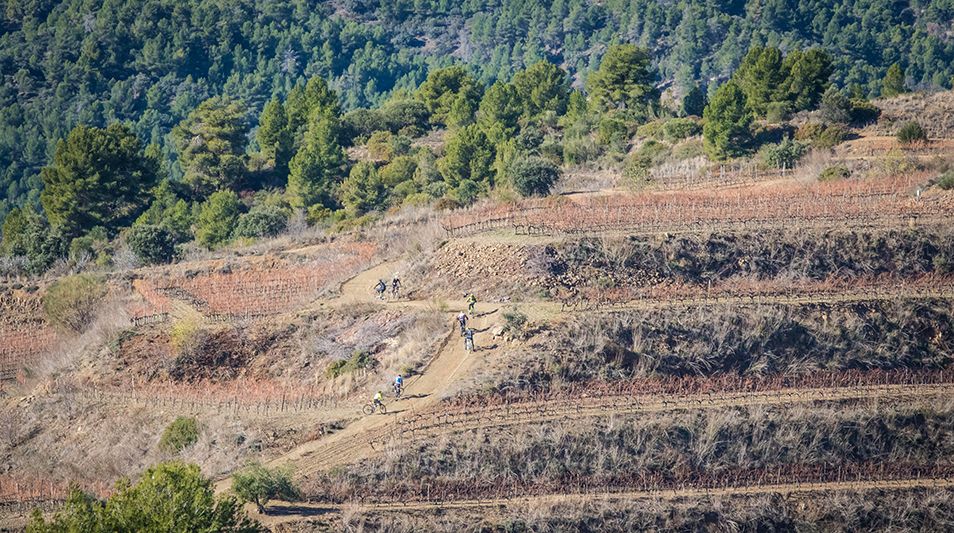 El mundo del vino y del MTB en el Gran Fondo Priorat