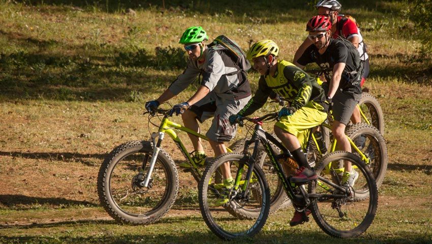 Test The Best: Preguntas frecuentes