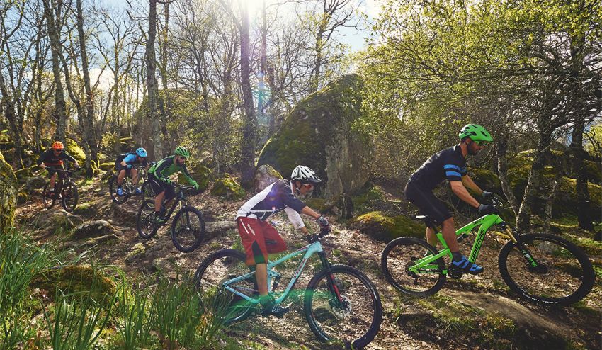 El test del All Mountain