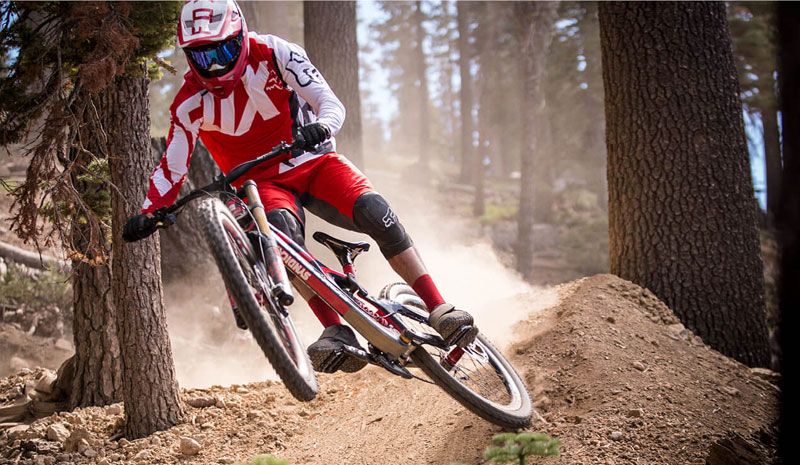 Película completa: Ride Your F#%king Bike