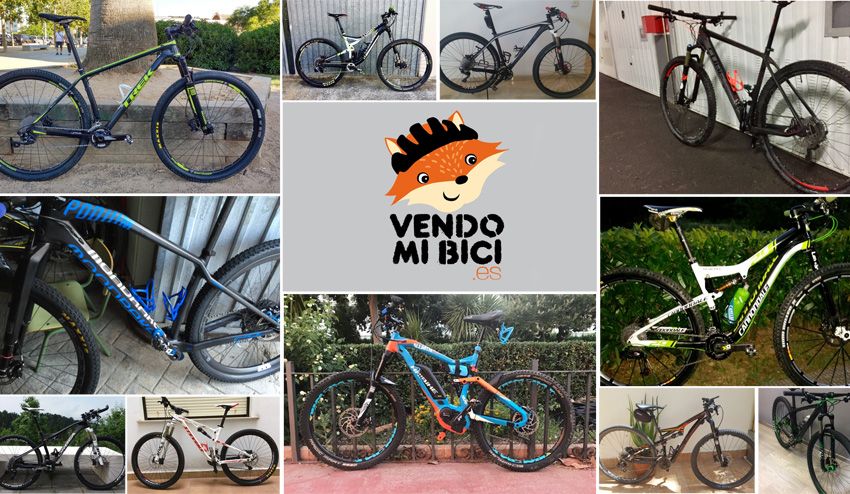 Seleccionamos en la web de compraventa las mejores oportunidades