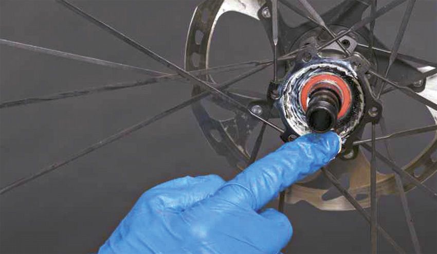Tips de grasas y utilización