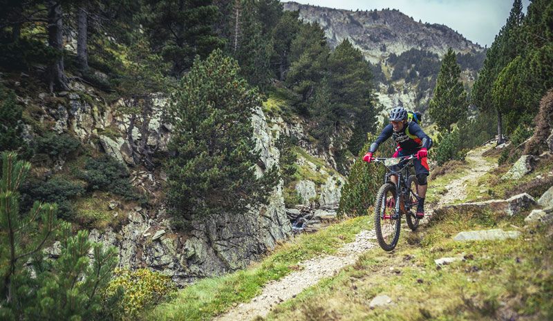 Clic para ver: Trans-Nomad & Lynx 5: El reto