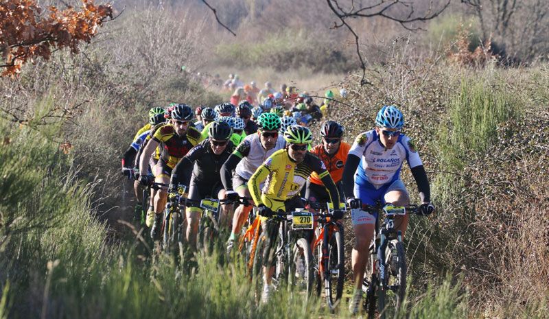Ruta MTB en Tierra de Romanos.