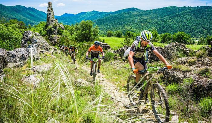 Transpyr Cost to Cost 2019 a precio reducido