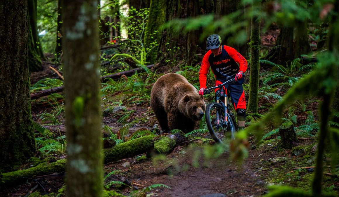 Top 10 MTB: ¿Pedalear sentado o de pie?