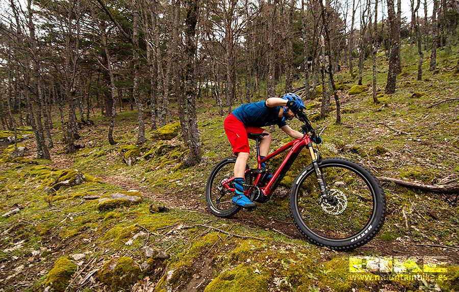 Moustache Samedi 27 Trail 10 (2020)
