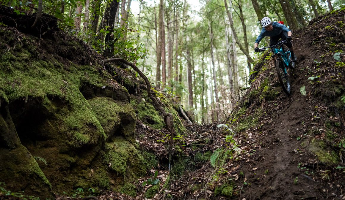 10 pasos para bajar mejor con la bici