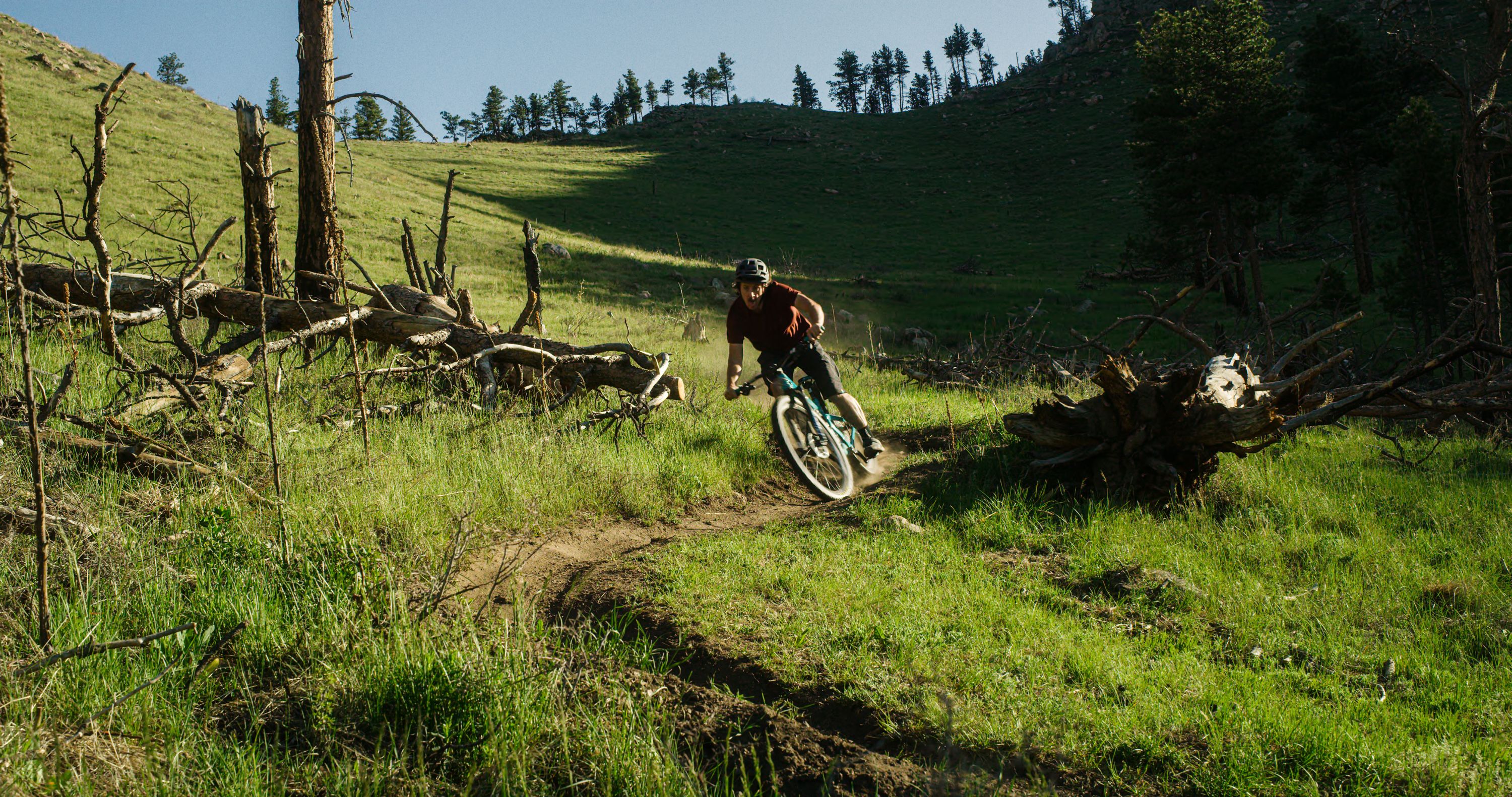 Yeti SB115 2021