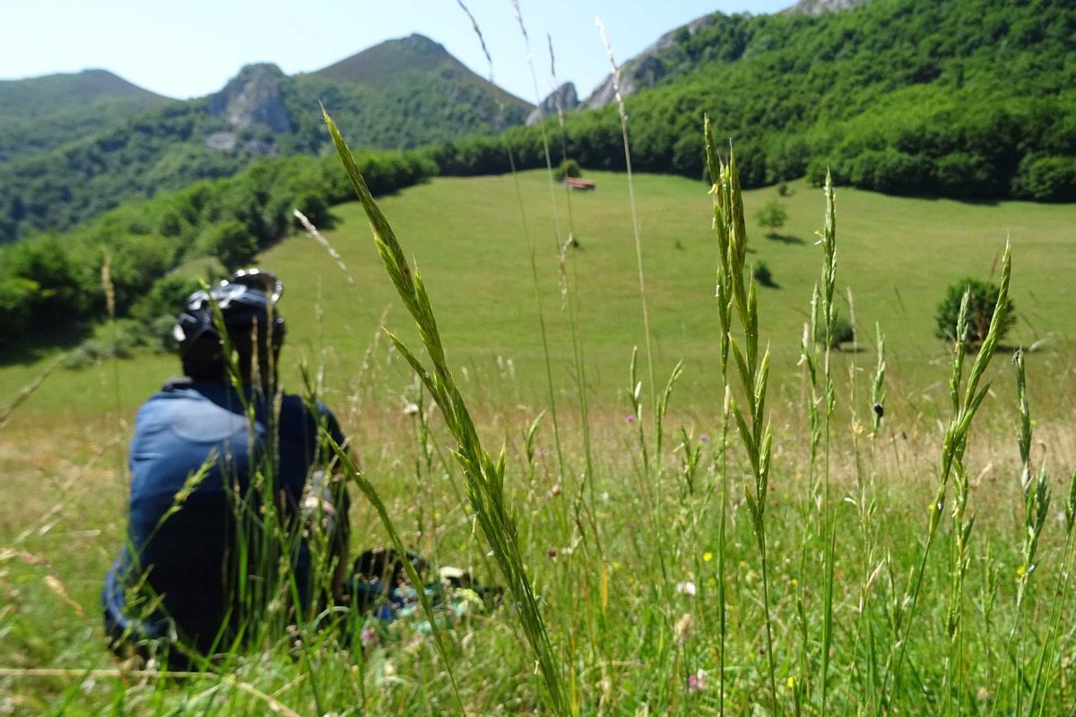 IMBA y Bikefriendly unen fuerzas