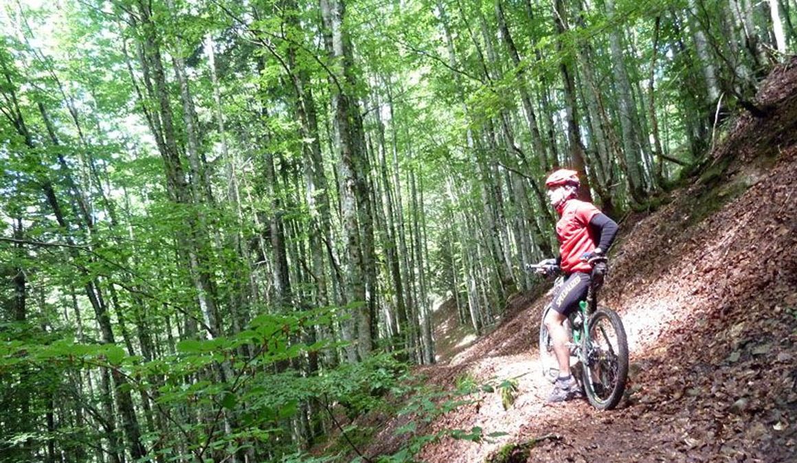 Las mejores rutas para el verano Selva de irati