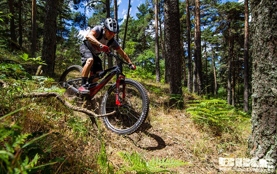 Lapierre GLP2 (43)