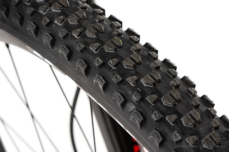 Ghost Lector Superfit Pro 2021 (11)