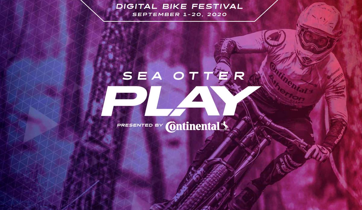 Sea Otter Play