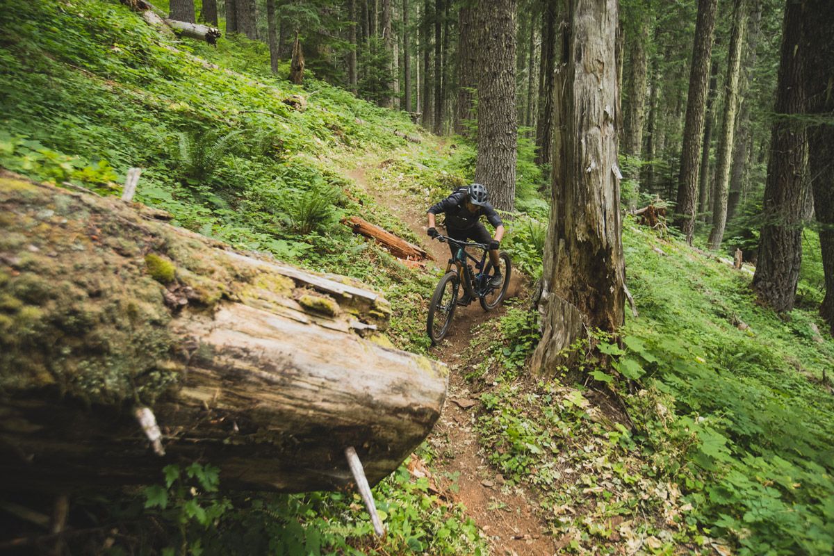Nueva Giant Trance X Advanced Pro 29x accion 1