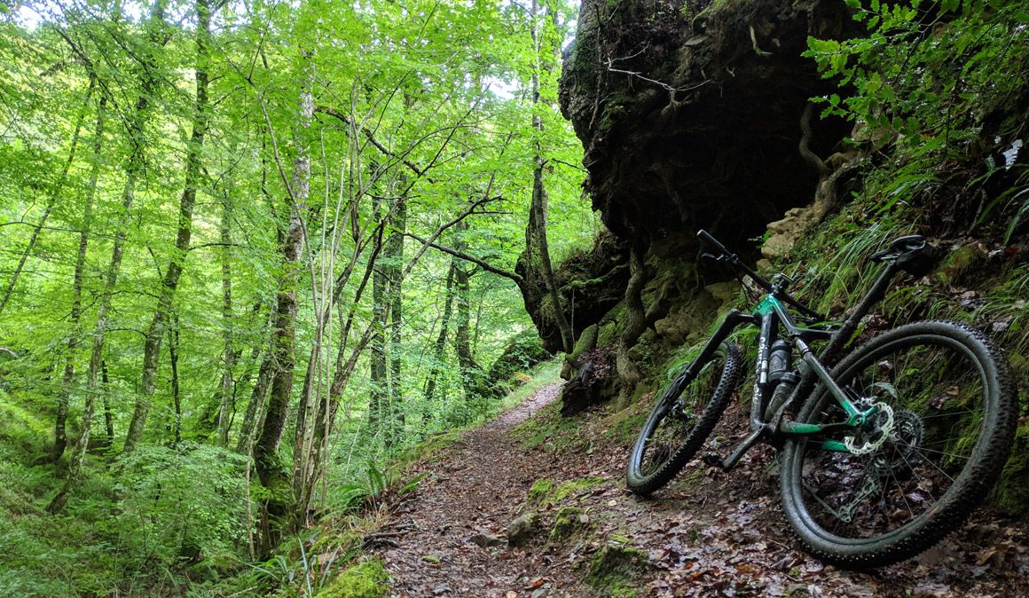 Ruta Cantabria Parque Saja Besaya