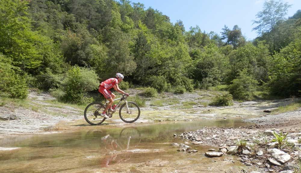 BTT Salines Bassegoda ruta 4 BTT Salines Bassegoda ruta 4