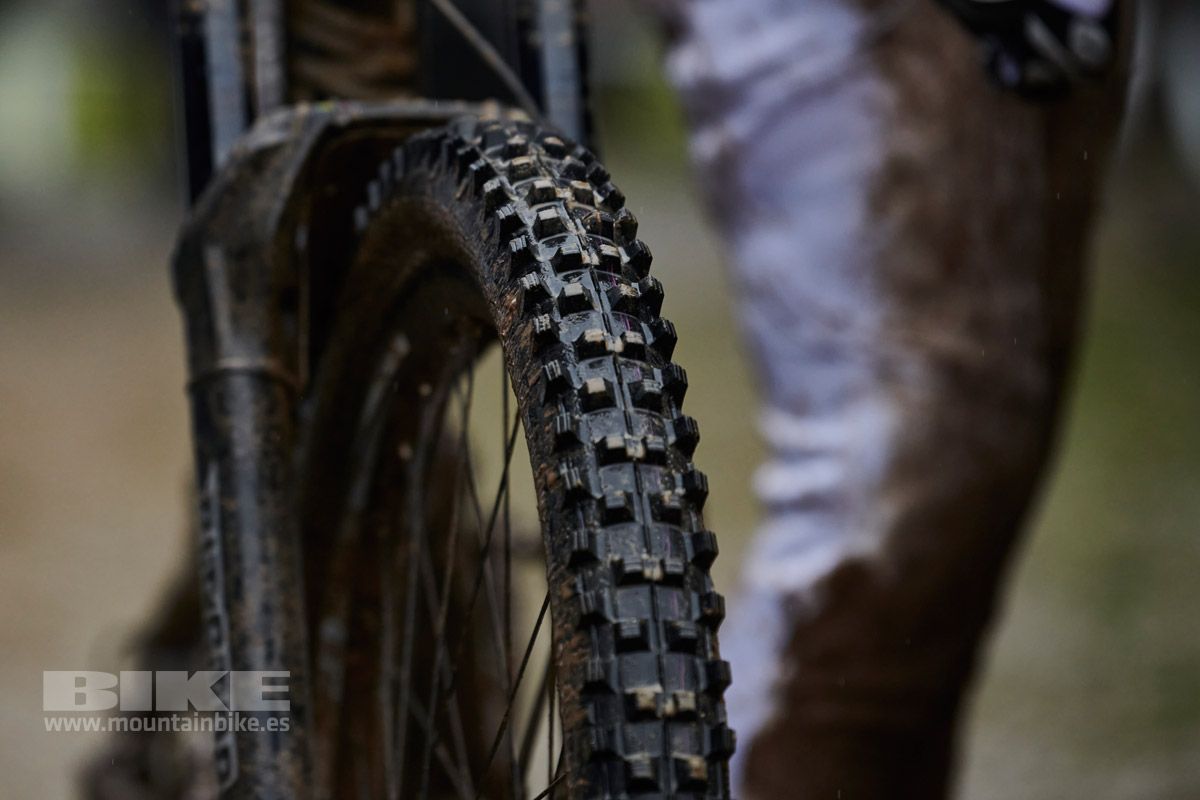 Campeonato del Mundo Leogang 2021. Finales DH. Fotos Frabanvisuals (8)