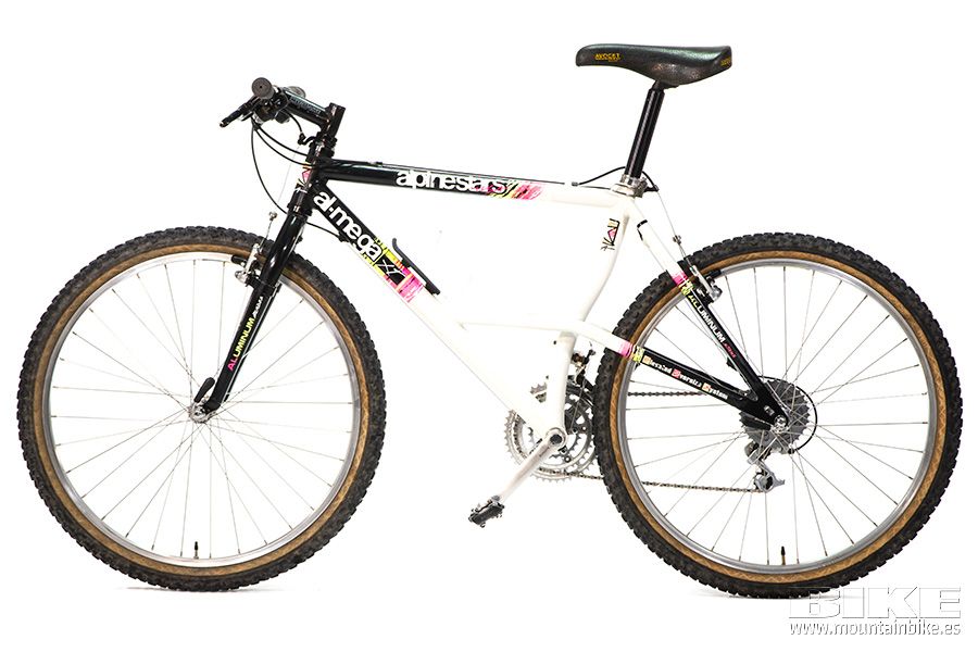 Alpinestars Almega (10)