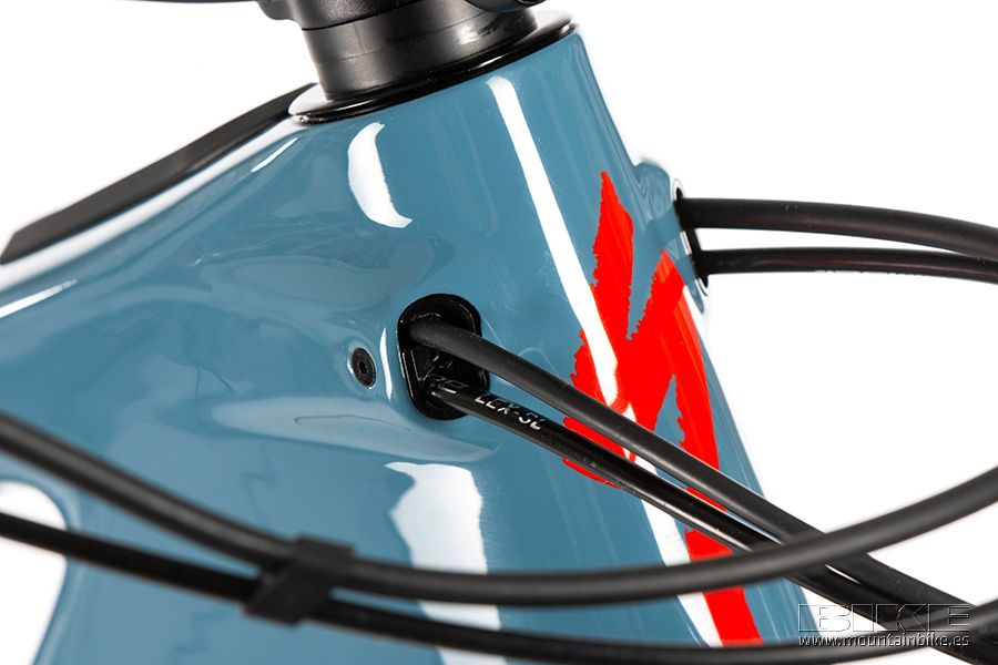 Specialized Turbo Levo 2021 (17)