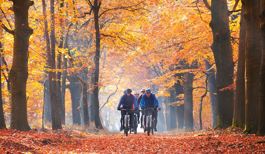 Consejos para un otoño covid