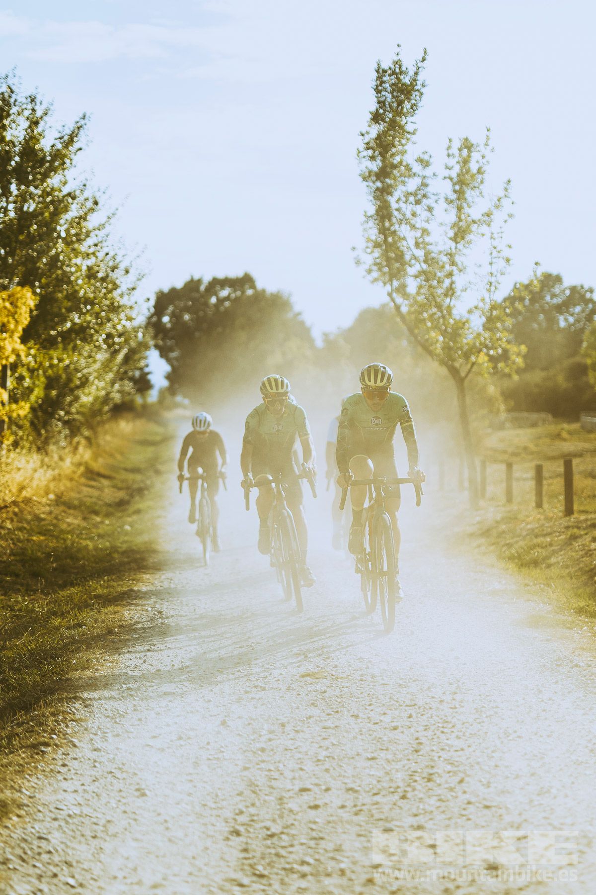 Scott Addict Gravel 10 (9)
