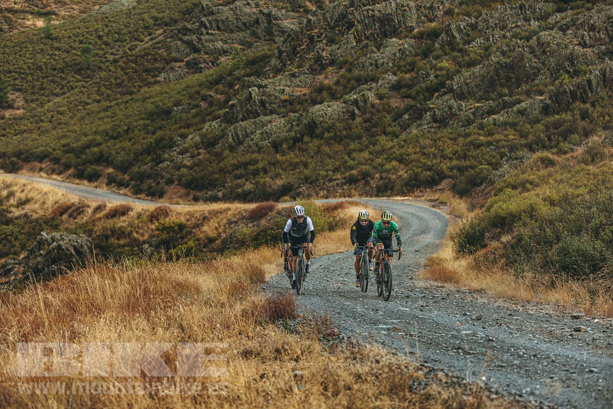 Scott Addict Gravel 10 (14)