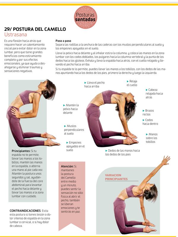 Yoga para principiantes YOGAFIT 5 Postura del Camello Yoga para principiantes YOGAFIT 5 Postura del Camello