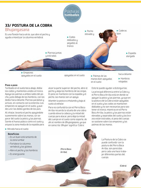 Yoga para principiantes Postura de la Cobra Bhujangasana Yoga para principiantes Postura de la Cobra Bhujangasana