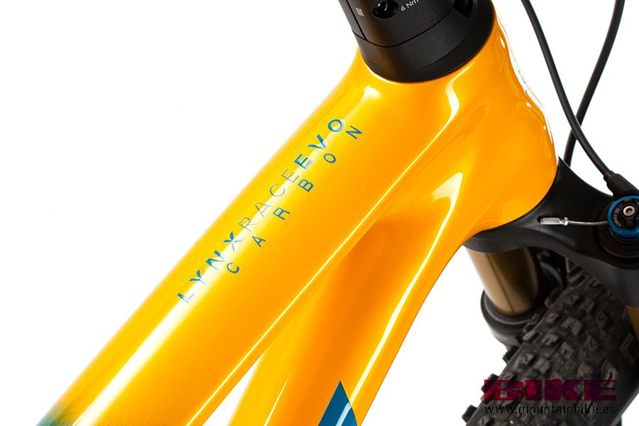Estudio BH Lynx Race EVO Carbon (22)