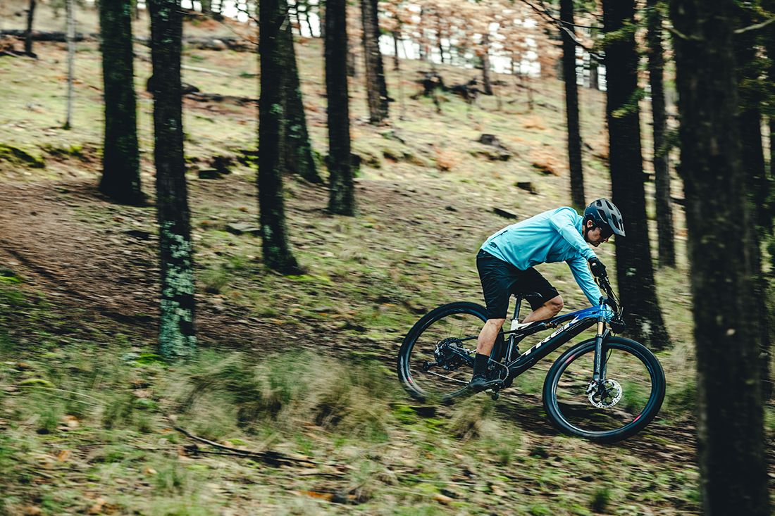 Trek eCaliber 2021 12