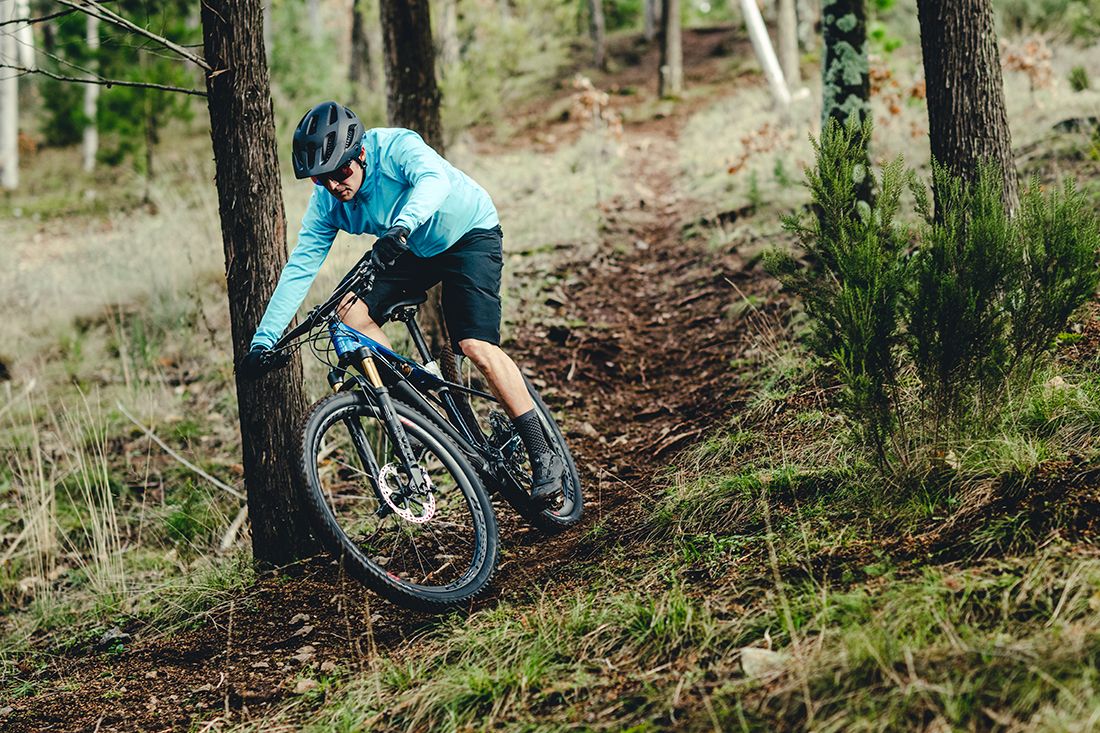 Trek eCaliber 2021 14