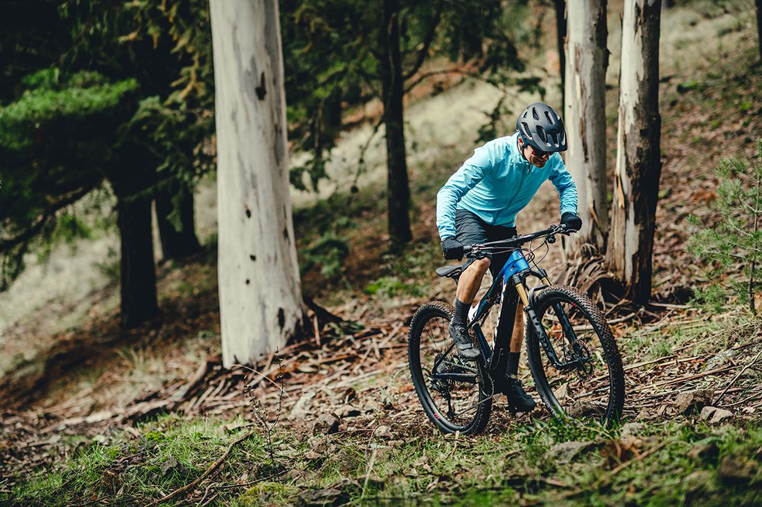 Trek eCaliber 2021 15