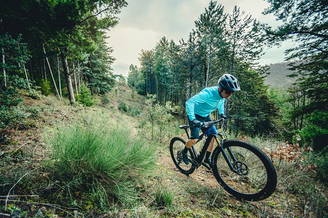 Trek eCaliber 2021 17