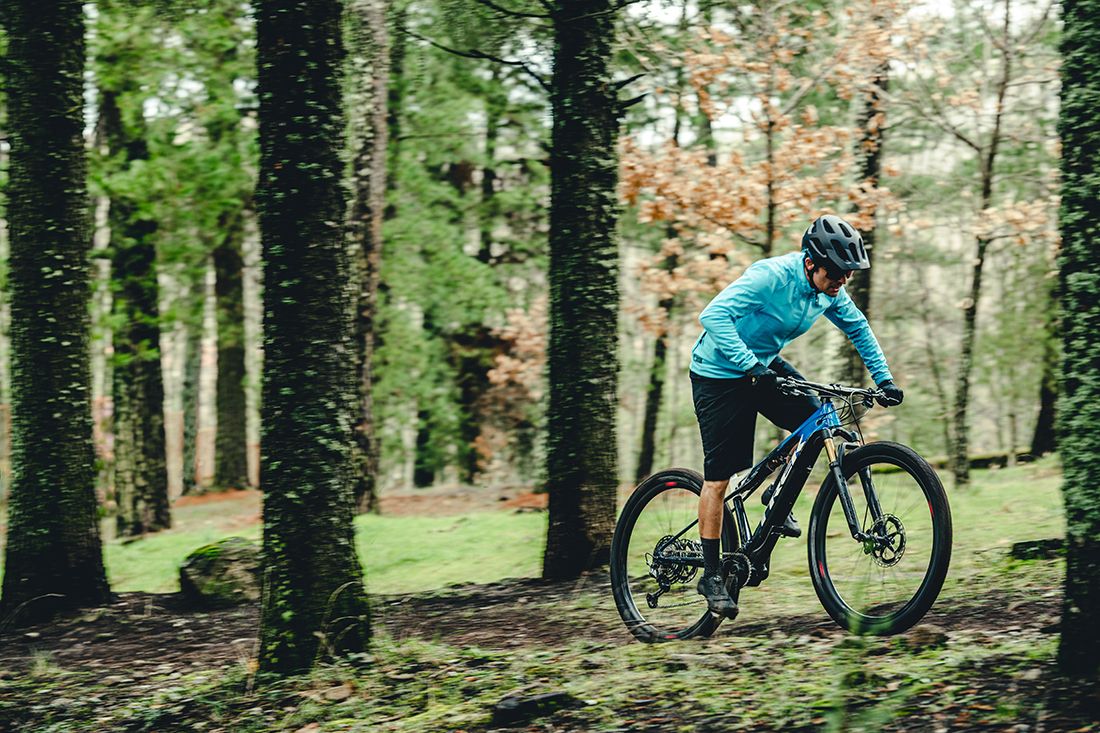 Trek eCaliber 2021 18
