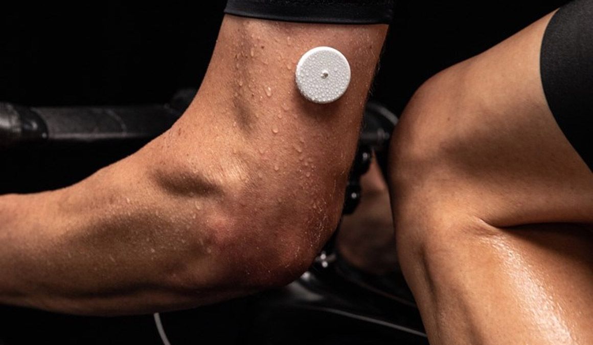 el sensor antipajaras de 3 gramos