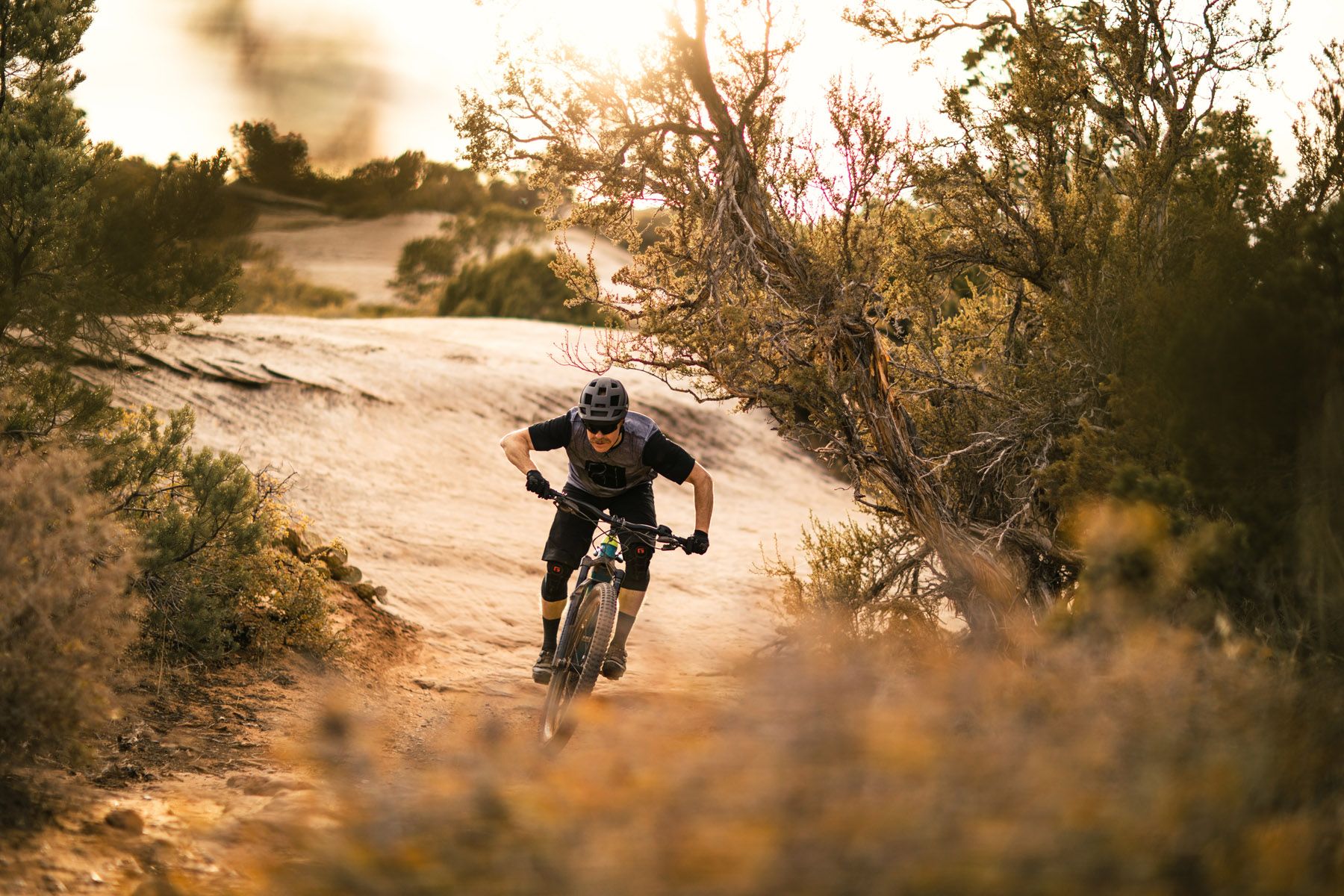 RockShox Domain RockShox Domain
