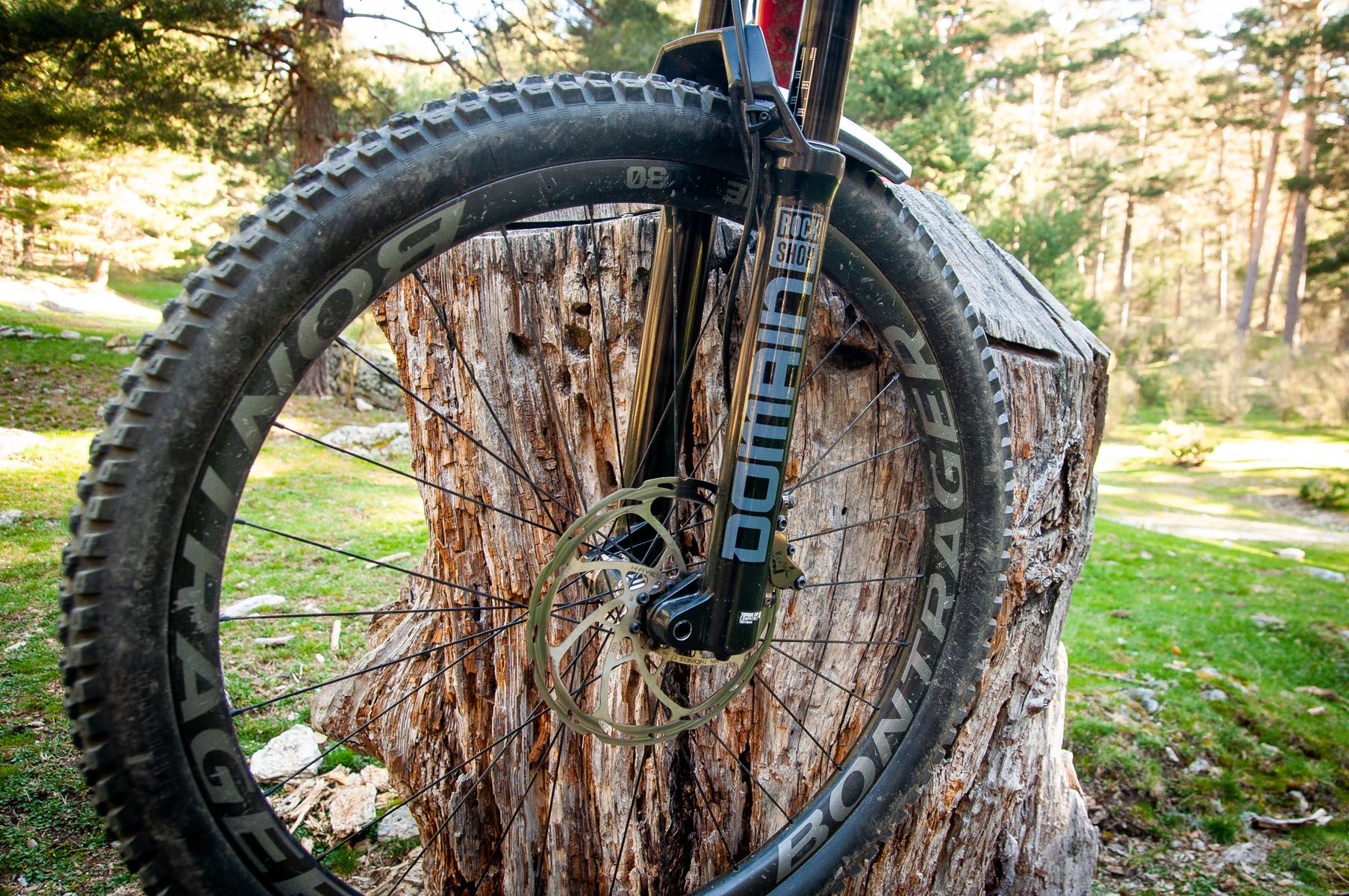 RockShox Domain RockShox Domain