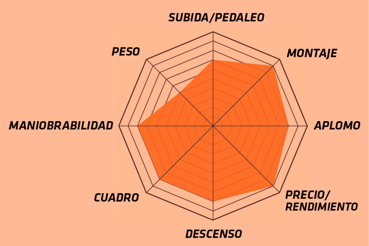 Sin título 6