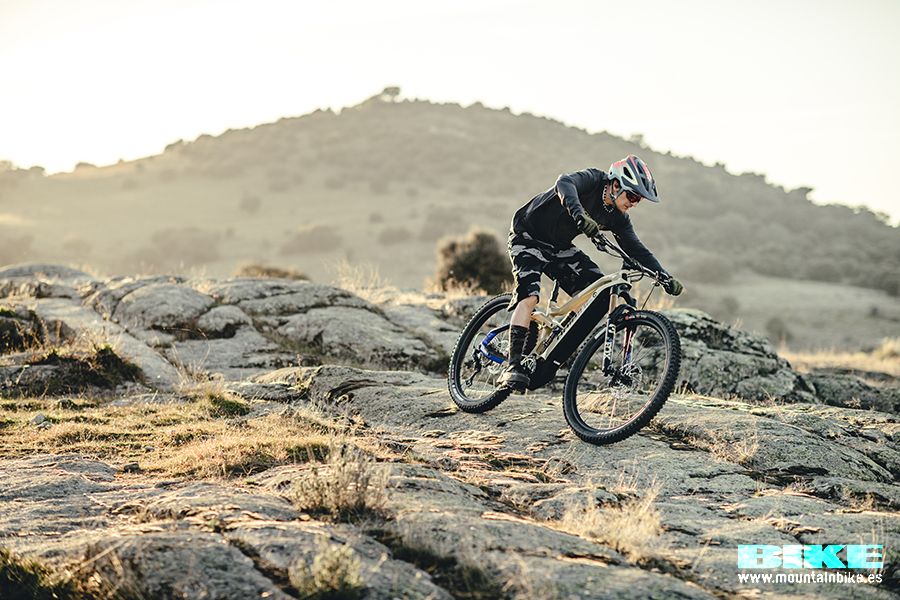 Haibike accion 1