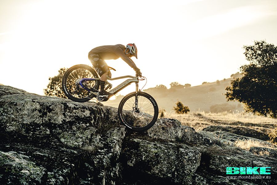 Haibike accion 5