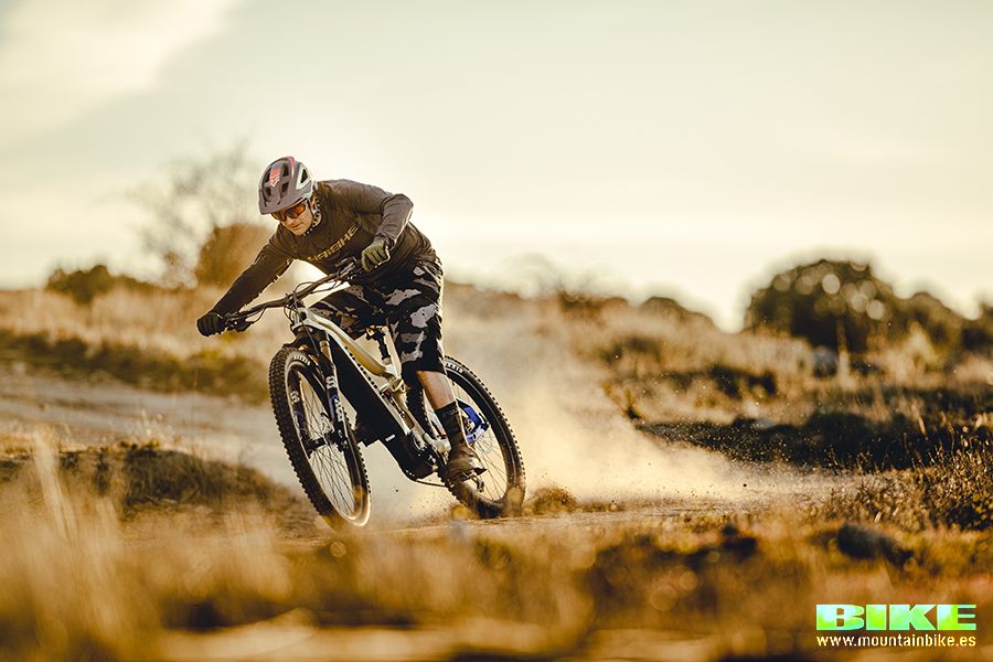 Haibike accion 7