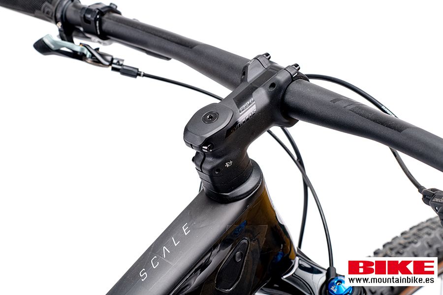 Scott Scale estudio 15